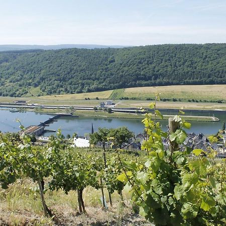 Ferienhaus Moselblick Mit Kostenfreien Oepnv-Ticket Ürzig Zewnętrze zdjęcie