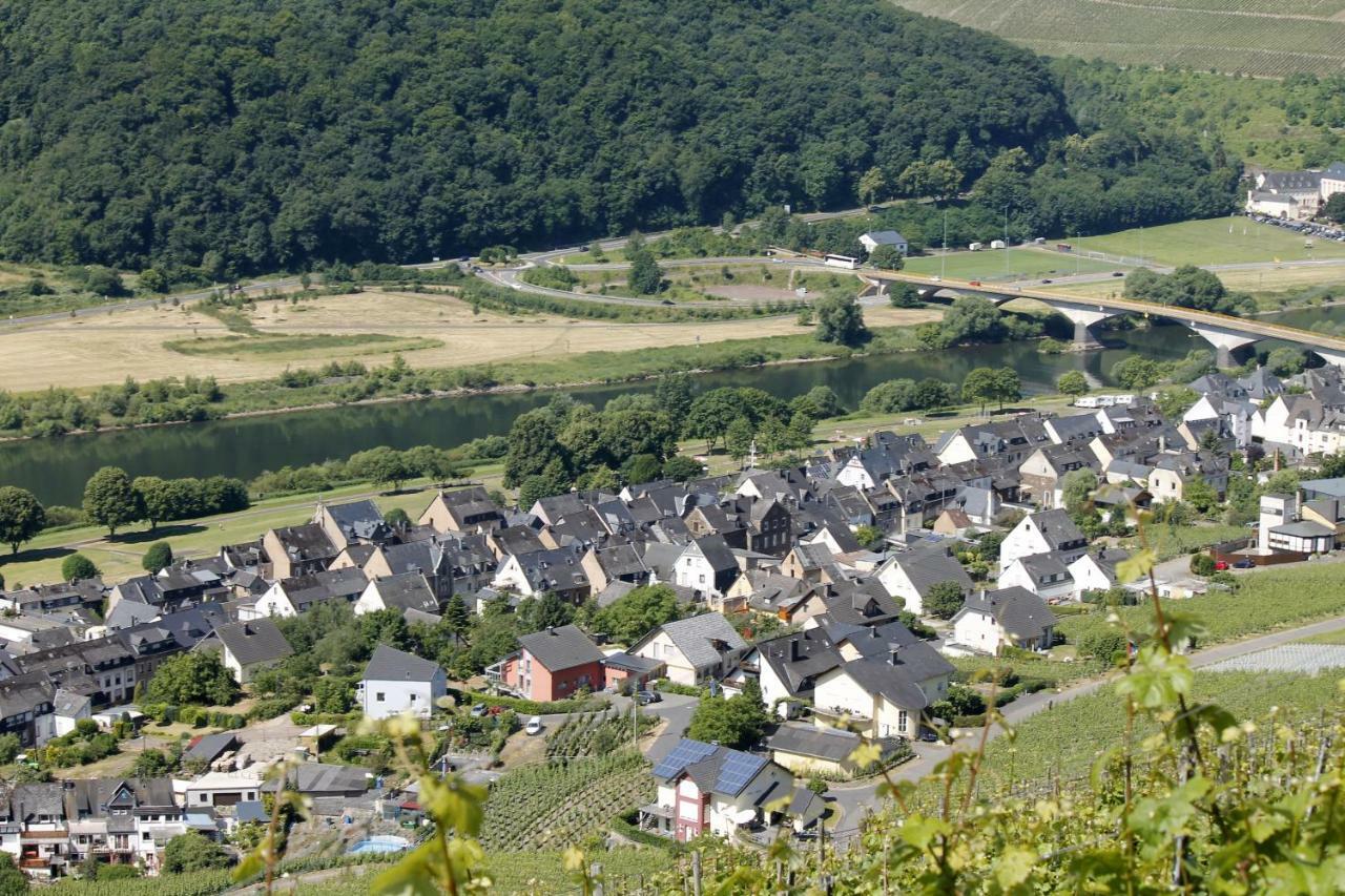 Ferienhaus Moselblick Mit Kostenfreien Oepnv-Ticket Ürzig Zewnętrze zdjęcie